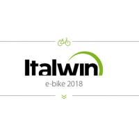 Italwin logo