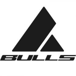 Bulls logo