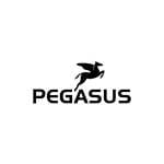 Pegasus logo
